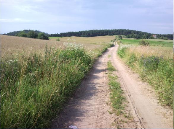 Fajne Miejsce Villa Jeziorany Luaran gambar